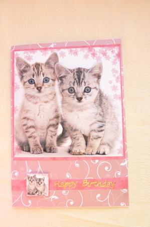 Snowflake Kittens Large Square Card Front by Rosina Walker