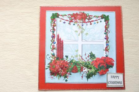 Poinsettia Christmas Window by Rosina Walker