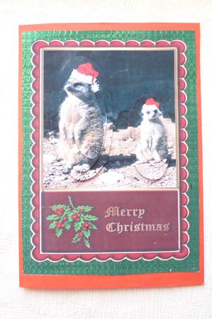 Meerkats Merry Christmas with Double Oval Pyramid by Rosina Walker