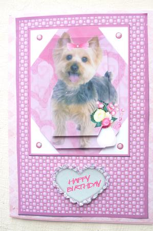 Little Dog with Flowers Qs by Rosina Walker