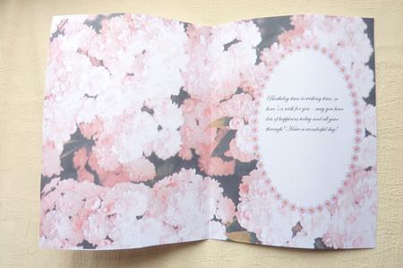 Daisy Pink by Rosina Walker