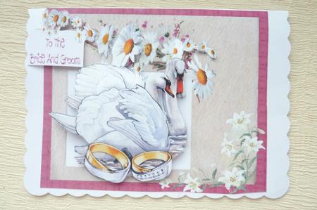 The Swan's Duet by Rosina Walker