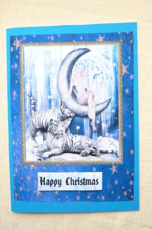 A Christmas Fantasy by Rosina Walker