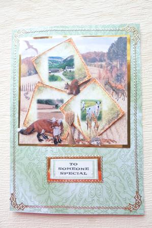 Scrapbook Countryside by Rosina Walker
