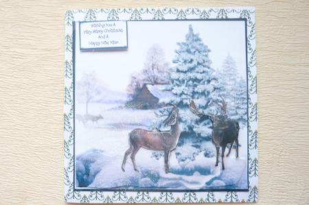 Deer in Snow by Rosina Walker