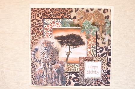 Cheetahs and Leopard 8x8 by Rosina Walker