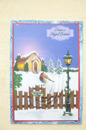 Magical Christmas by Rosina Walker