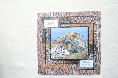 The Cheetah's Kiss by Rosina Walker