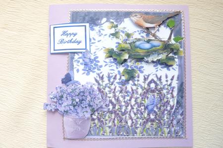 Living Amongst the Lavenders by Rosina Walker