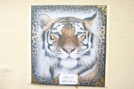 Bengal Tiger Topper 8x8 by Rosina Walker