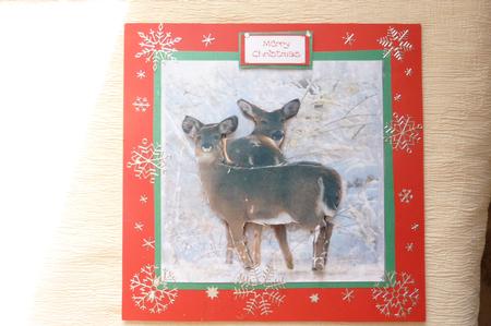 We Don't All Work for Santa. by Rosina Walker