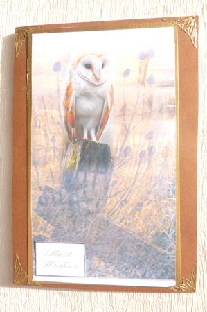 Two Barn Owl Toppers by Rosina Walker