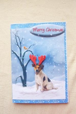 Jack Russell Christmas Greeting Quick Card by Rosina Walker