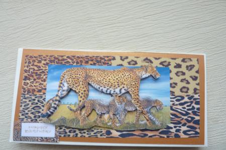 Cheetas Dl by Rosina Walker
