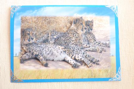 Cheetah Toppers with Decoupage by Rosina Walker