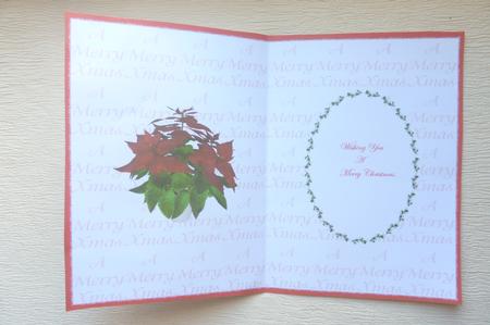 Xmas Insert-33 by Rosina Walker