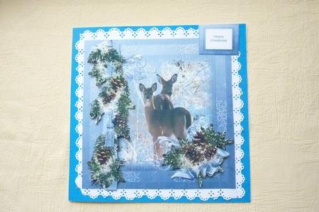 Deer in the Snow with Pinecones by Rosina Walker