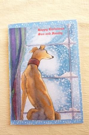 Greyhound Watching Snowfall by Rosina Walker