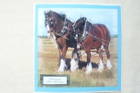 A Working Team Topper. by Rosina Walker