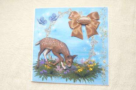 Nature Paradise by Rosina Walker
