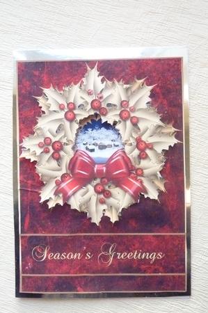Christmas Quick Card Front in Stylish Red by Rosina Walker