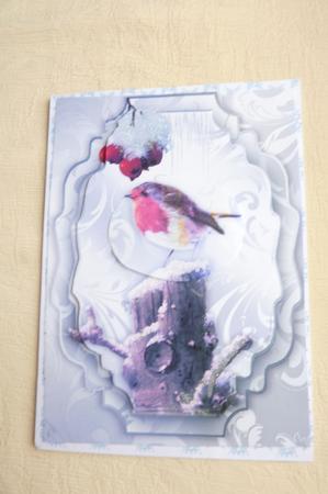 Red Robin with Red Berries with Snow A4 by Rosina Walker