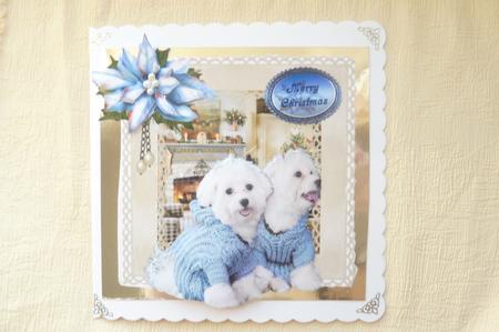 Look What Santa Bought Us for Christmas by Rosina Walker