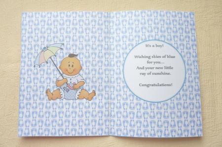 A New Addition Baby Boy by Rosina Walker