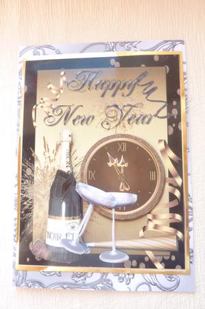 New Year Celebrations by Rosina Walker