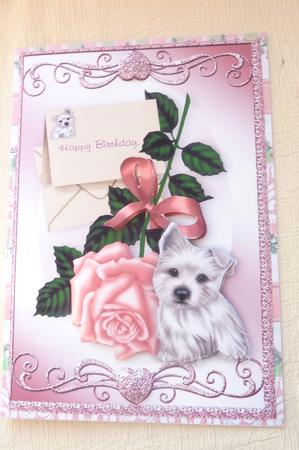 Pink Rose with Cute Little Westie A4 by Rosina Walker