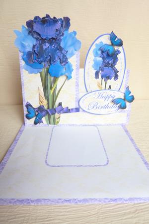 Iris & Butterflies Side Stepper Kit by Rosina Walker