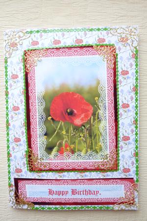 Meadow of Poppies Backing Paper by Rosina Walker