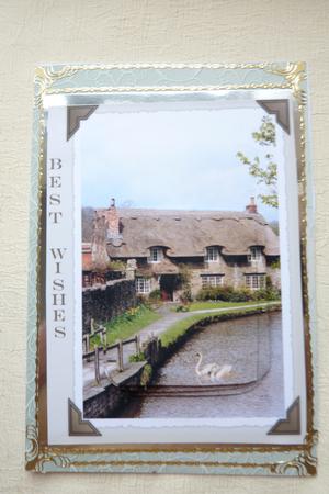 Elegant Swans on a Quiet River by Rosina Walker