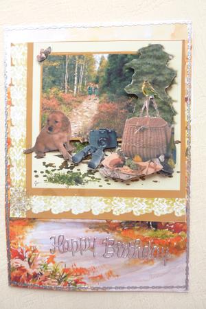 A Picnic in the Woods Step by Step by Rosina Walker