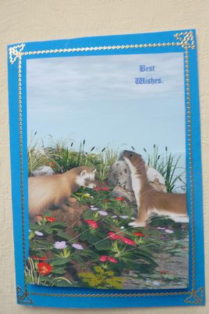 Ferrets Wave Edge Bottom Stacker by Rosina Walker