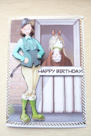 Horse Rider Lady by Rosina Walker