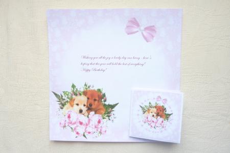 8x8 a Posy of Puupies Insert Plate by Rosina Walker