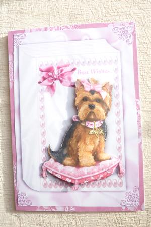 Yorkshire Terrier on a Cushion in Lace Frame Folded Book A4 by Rosina Walker
