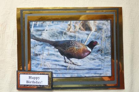 Ring-necked Pheasant Pyramid by Rosina Walker