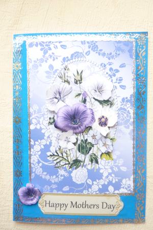 Wild Flowers & Petunias by Rosina Walker