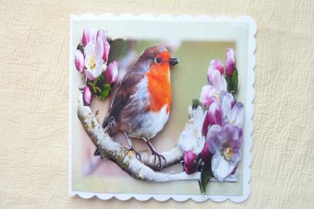Robin in the Apple Tree Step by Step by Rosina Walker