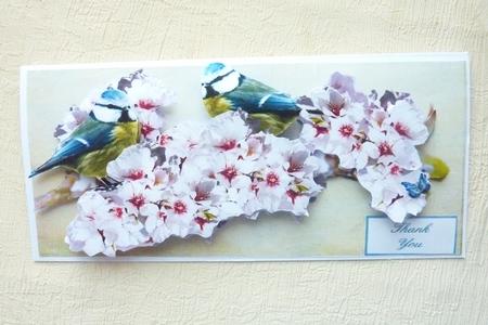 Blue Tits Amongst the Cherry Blossoms Large Dl Card Kit by Rosina Walker