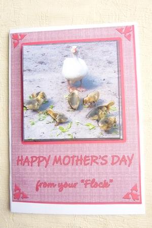 Mother's Day A4 from Your Flock by Rosina Walker