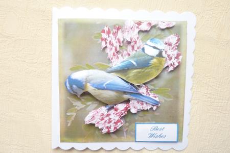 Blue Tits and Blossoms Step by Step by Rosina Walker