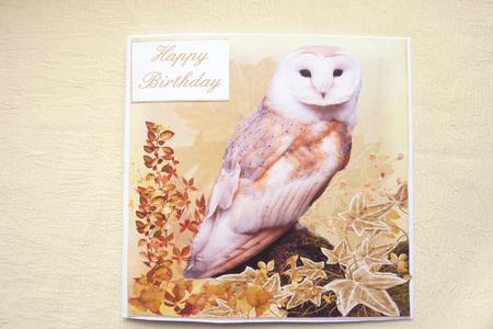 Barn Owl 8x8 Topper by Rosina Walker