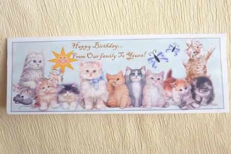 Large Dl Card Kittens by Rosina Walker
