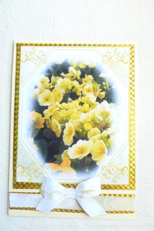 Yellow Primrose by Rosina Walker
