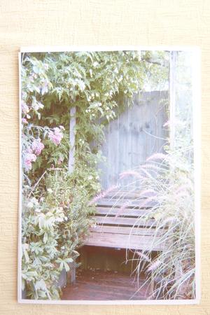 The Jasmine Arbour by Rosina Walker