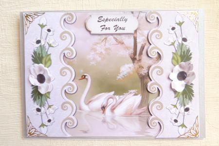 Bordered Swans by Rosina Walker