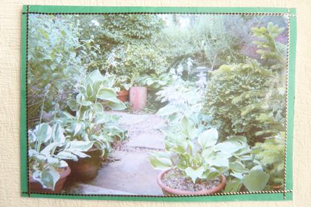 The Hosta Walk 3 by Rosina Walker